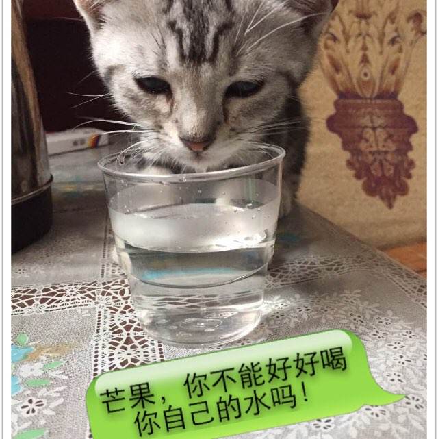 购买假澳大利亚护照电子版